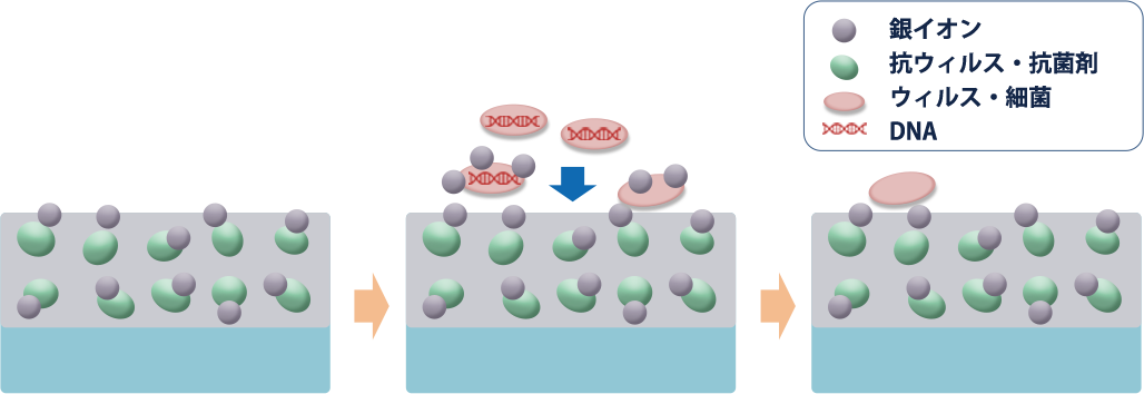 銀イオンがウィルスを抑制